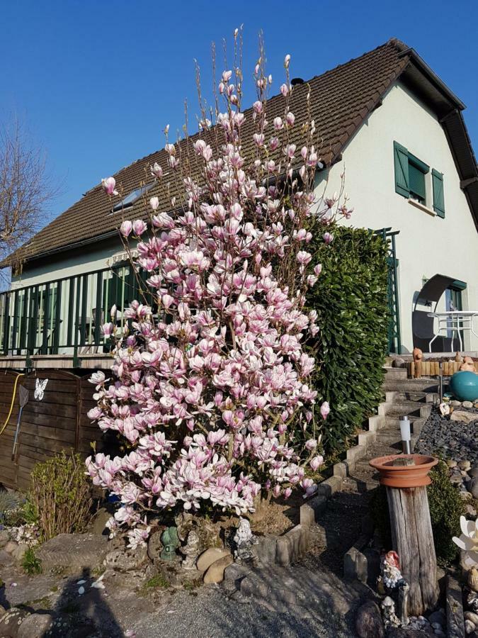 Le Nid Fleuri De Cravanche Exteriör bild